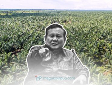Presiden Prabowo Subianto mendorong pengembangan perkebunan kelapa sawit di Papua sebagai sumber energi terbarukan dan BBM lokal. (sumber foto : google/ilustrasi)