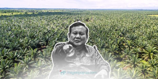 
					Presiden Prabowo Subianto mendorong pengembangan perkebunan kelapa sawit di Papua sebagai sumber energi terbarukan dan BBM lokal. (sumber foto : google/ilustrasi)